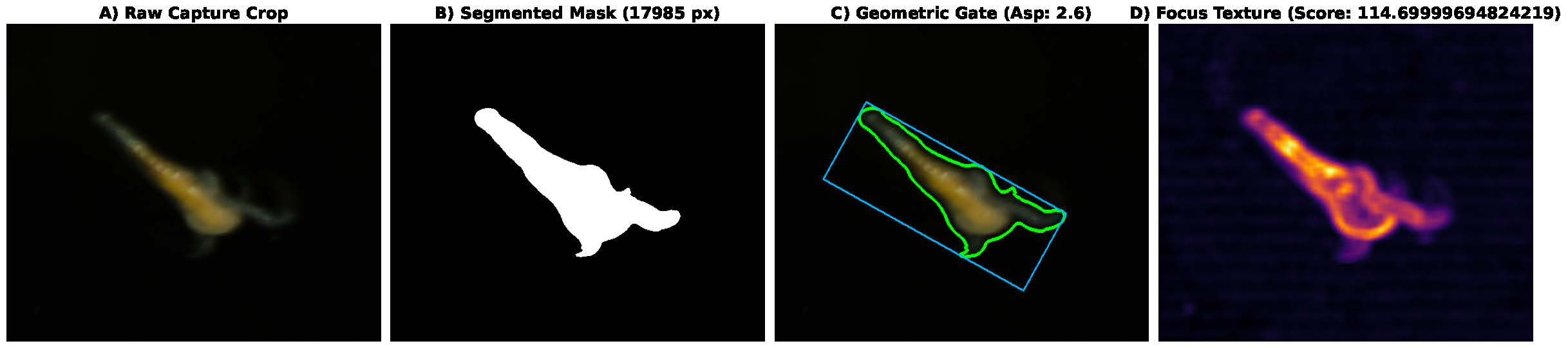 AI Detection & Localization